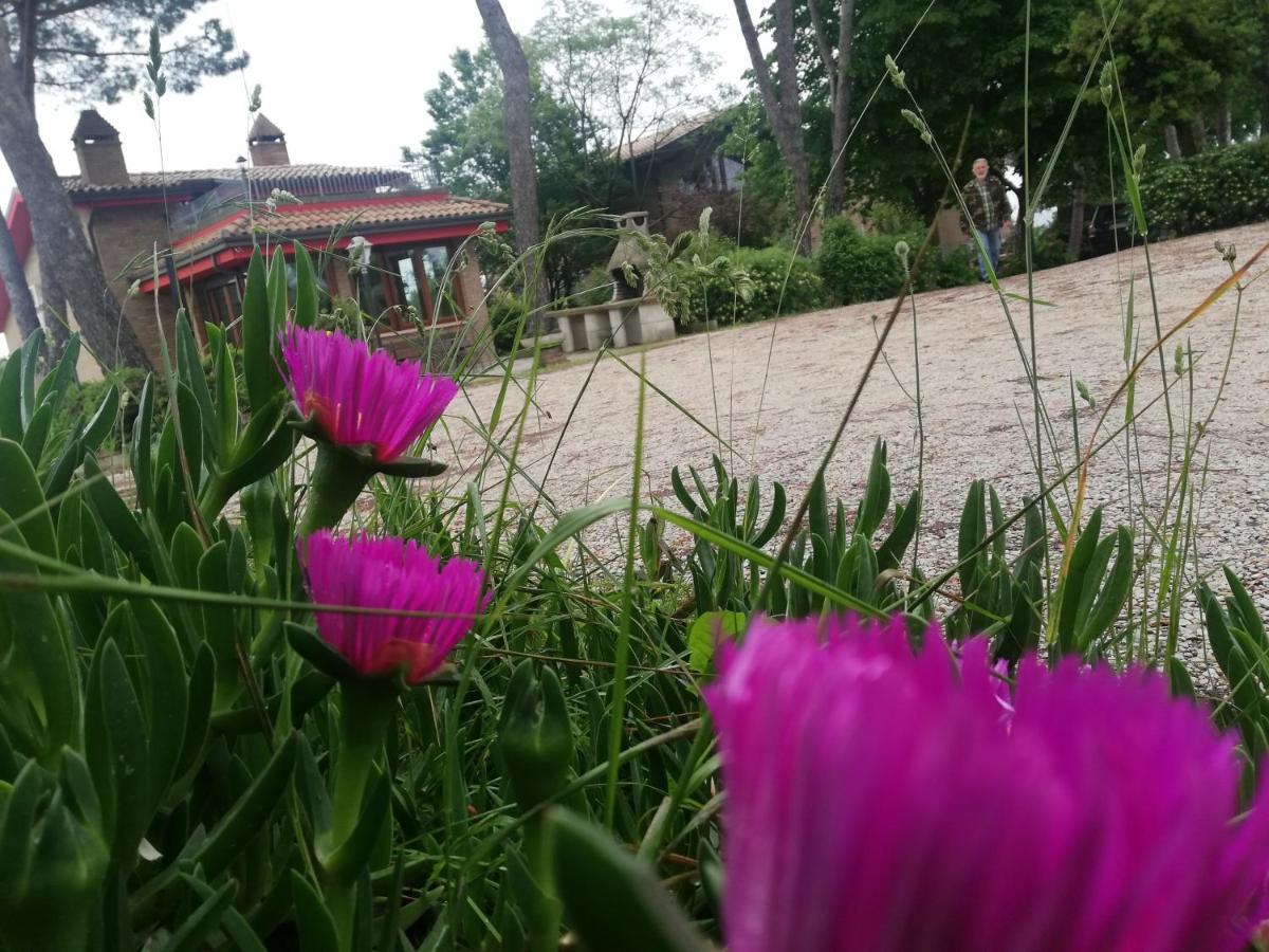 미사노아드리아티코 La Casa Nella Prateria B&B 외부 사진